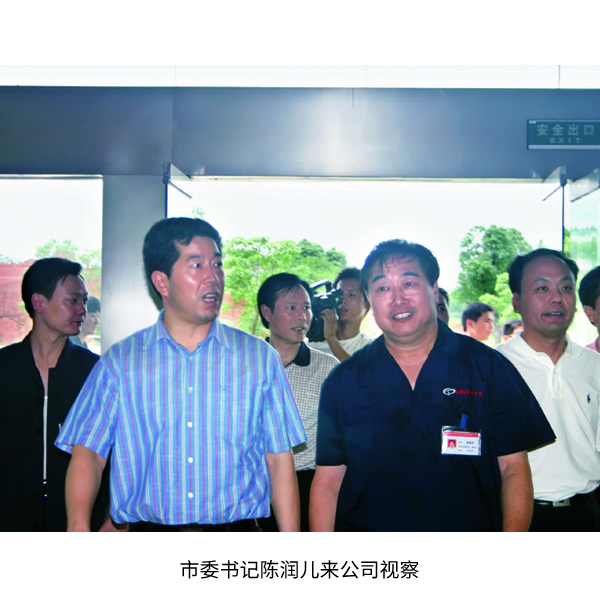 原市委書記陳潤(rùn)兒來公司視察